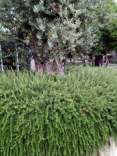 f:id:naoki86star:20190613115327j:plain